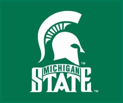 msulogo.